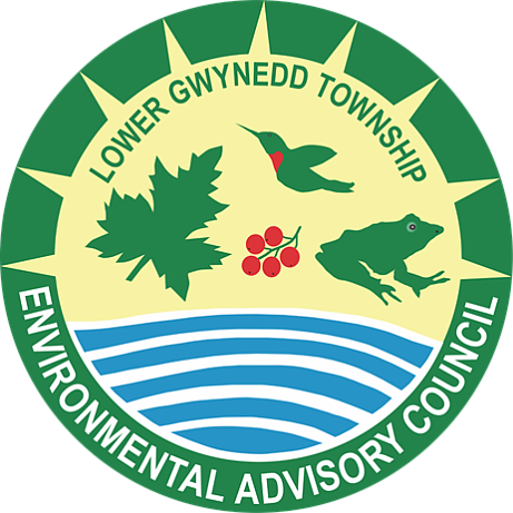 Image courtesy of Lower Gwynedd EAC