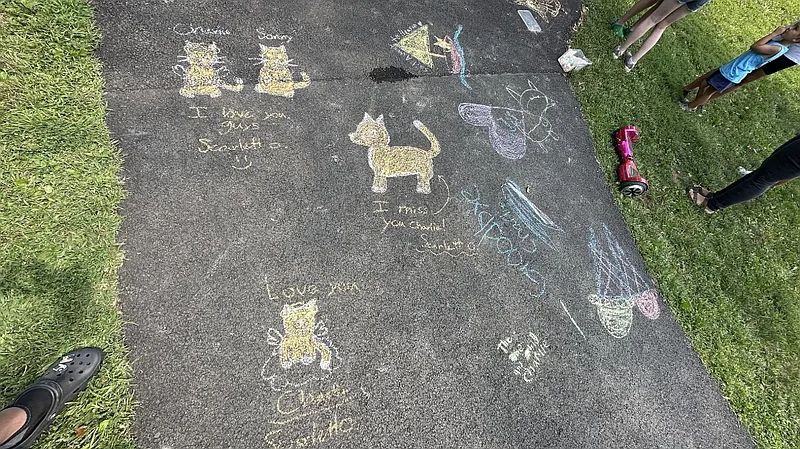 Chalk drawings memorializing Charlie the Cat were left on paths at Whites Road Park in Lansdale in Aug. 2024