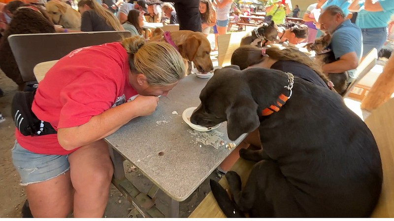 Absecon Vets/Pie eating contest at Bark in the Park, Sept. 14, 2024.