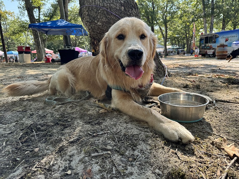 Absecon Veterinary Hospital/Bark in the Park, Sept. 14, 2024.