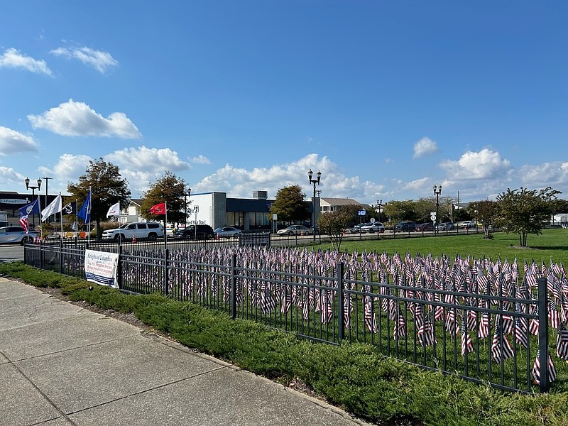 The flags are intended to bring awareness to the staggering number of U.S. veterans who take their own lives. (Photo courtesy of Ocean City)