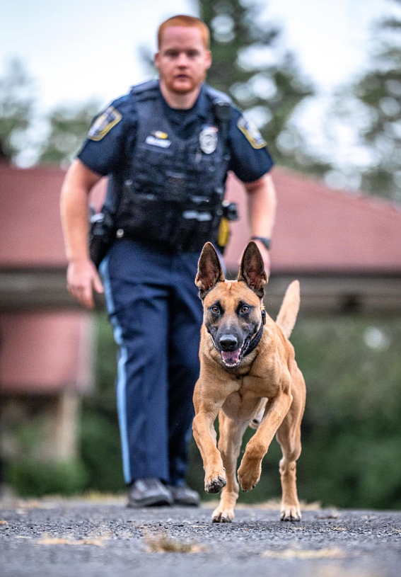 Officer Kyle Maloney and K9 Granite of Central Bucks Regional Police Department. (Credit: CBRPD)