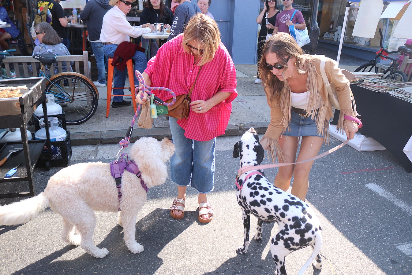 From left, Anna Cattie and her labradoodle, Ruby, make friends with Jill Chiachetti and her dalmatian, Penny, during a walk along Asbury Avenue.