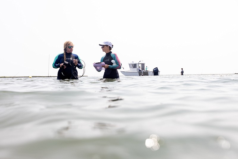 Stockton/Kristin Adams, a 2017 Stockton University graduate and a conservation and aquaculture specialist for the Ocean County Soil Conservation District, and Elizabeth Bick, a Stockton Marine Field Station assistant, gather water quality data at an oyster lease before seining.