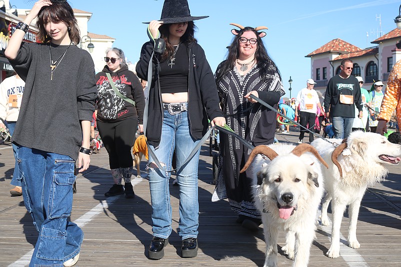 Dogs and their owners get dressed up in costumes for the zany parade.