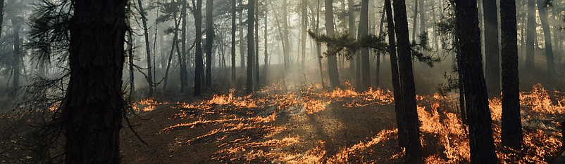 New Jersey Forest Fire Service crews are battling fires throughout the state. (Courtesy of New Jersey Forest Fire Service.