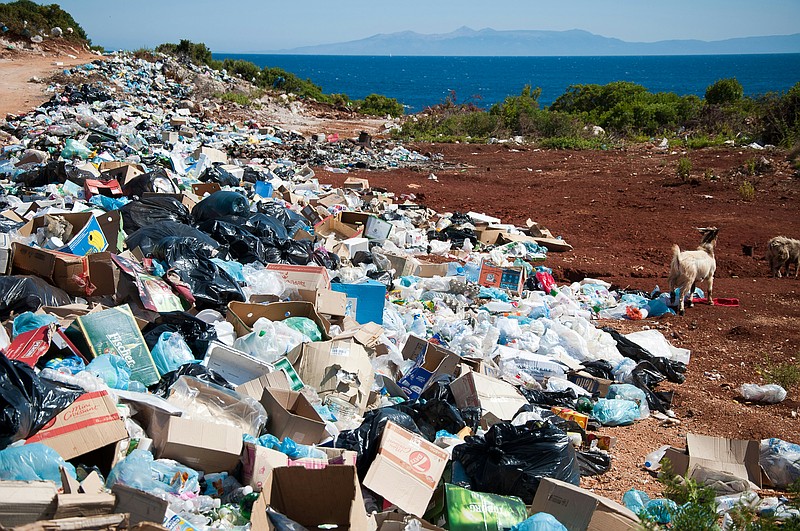 In an attempt to keep packaging out of landfills, Bimbo Bakeries has made a commitment. (Credit: Antoine Giret / Unsplash.com)