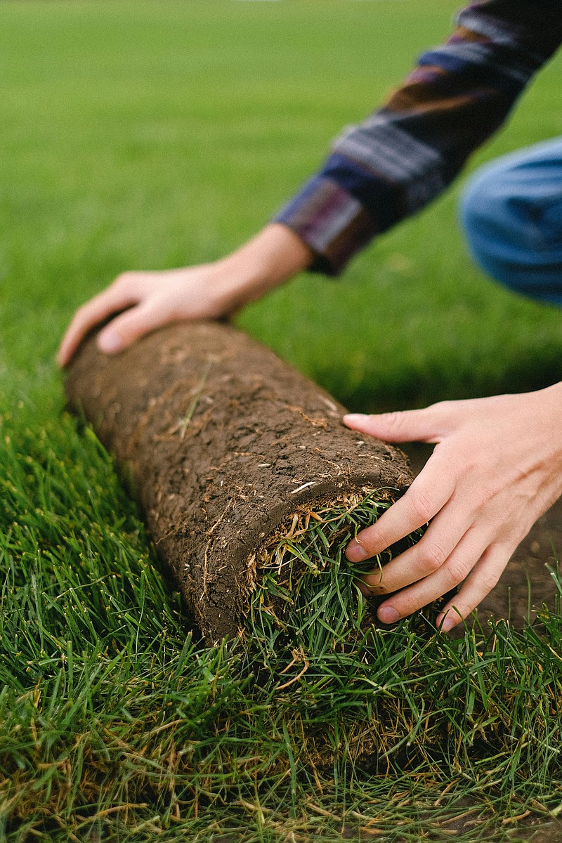 Two boy scouts have worked their way up to Eagle recognition in Whitpain Township with projects at the high school and a local church, where sod was replaced to help its flooded lawn. (Credit: Anna Shvets / Pexels.com)