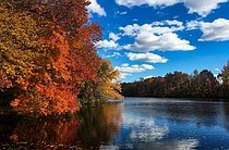 Top Five Healthiest Places to Live in Cape May County, NJ
