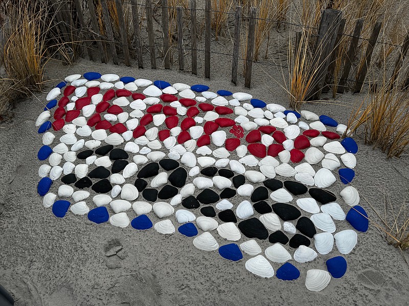 Gallery: Ventnor Polar Plunge