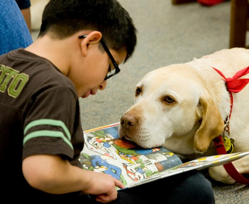 The Upper Moreland Public Library hosts "Read with Fuzzy Friends" each month. (Image courtesy of the UMPL)