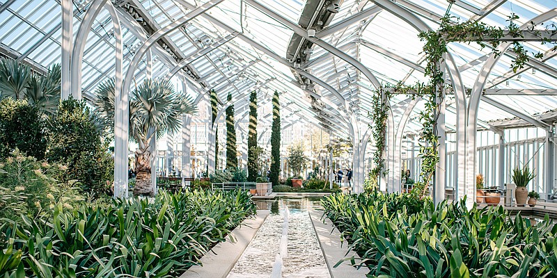 Winter Wonder is open at Longwood Gardens (Image courtesy of Longwood)