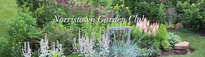 (Credit: Norristown Garden Club)