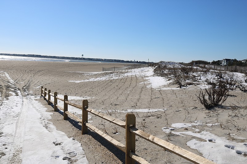 Rows and rows of newly planted dune grass are next to the beach pathway on 85th Street.