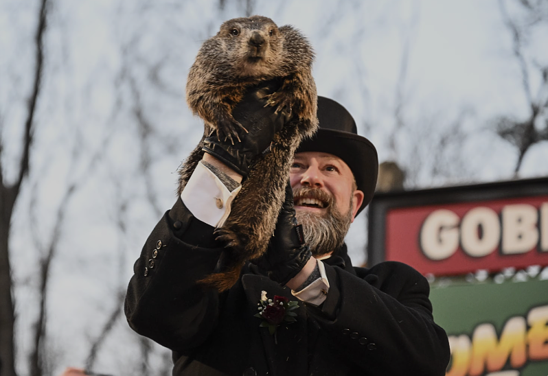 Punxsutawney Phil (Credit: Getty Images)