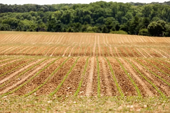 Farmland. (Credit: LevittownNow.com)