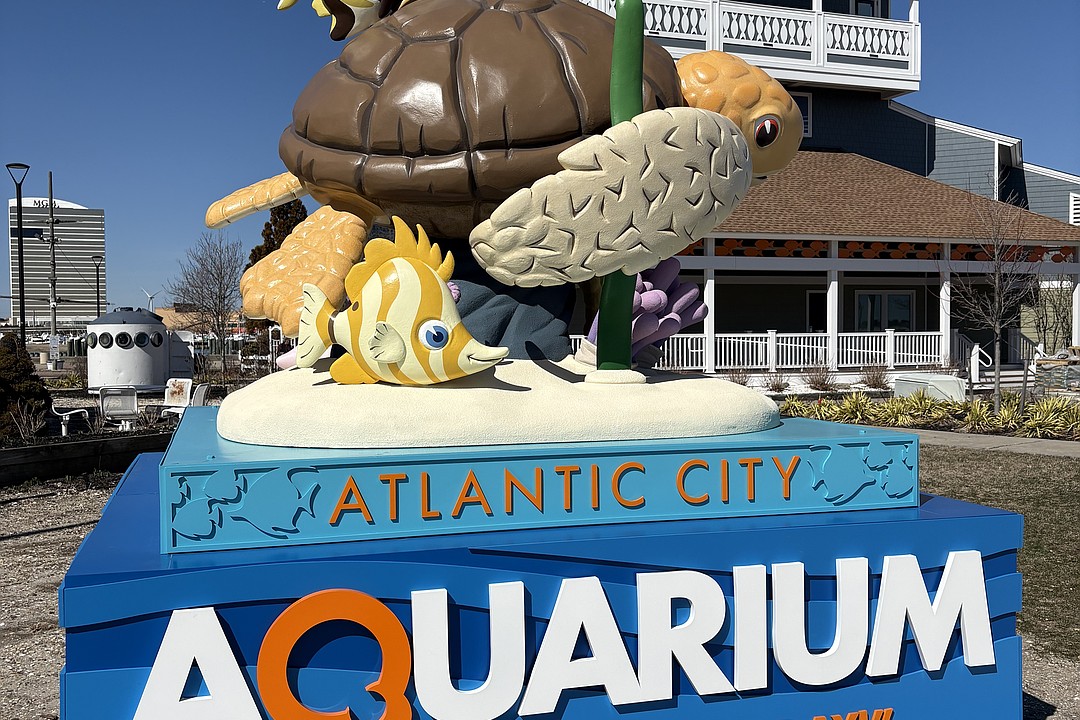 Renovated Atlantic City Aquarium opens to public - DownBeach