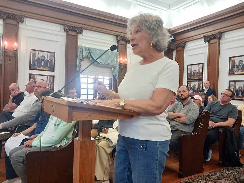 In remarks to City Council, neighborhood spokesperson Colette Bellefleur outlines the reasons why opponents are against the proposed dog hotel and kennel.