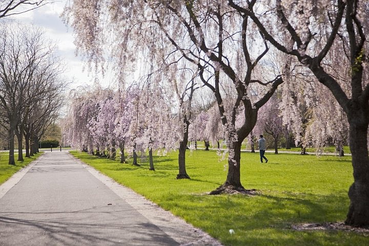 Credit: Visit Philadelphia