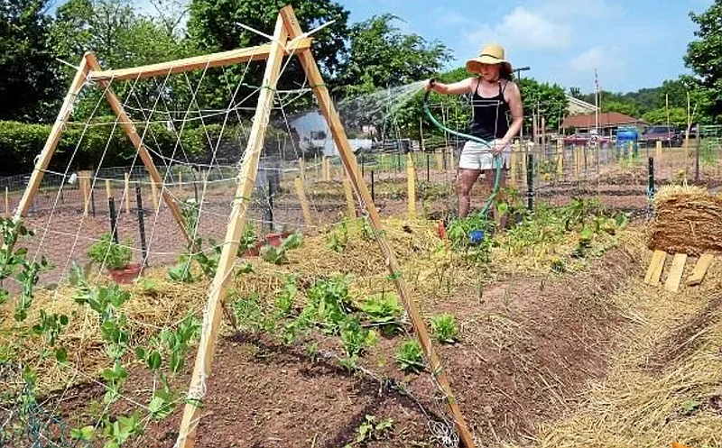 Perkasie Community Garden (Credit: Geoff Patton, Montgomery Media)