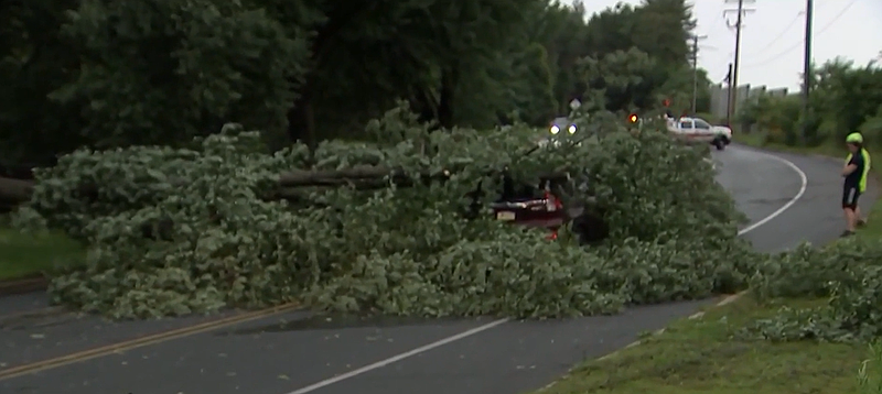 Credit: Screenshot/NBC 10.