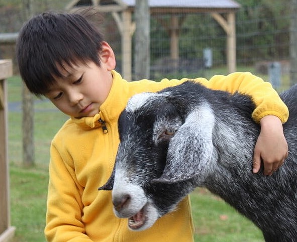 Autism Cares Foundation offers a variety of activities to children with social and cognitive disabilities including this one at Helping Friendly Farm (Source: Autism Cares Foundation).