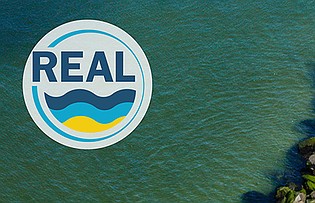 Lead