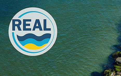 NJ DEP/Resilient Environments and Landscapes