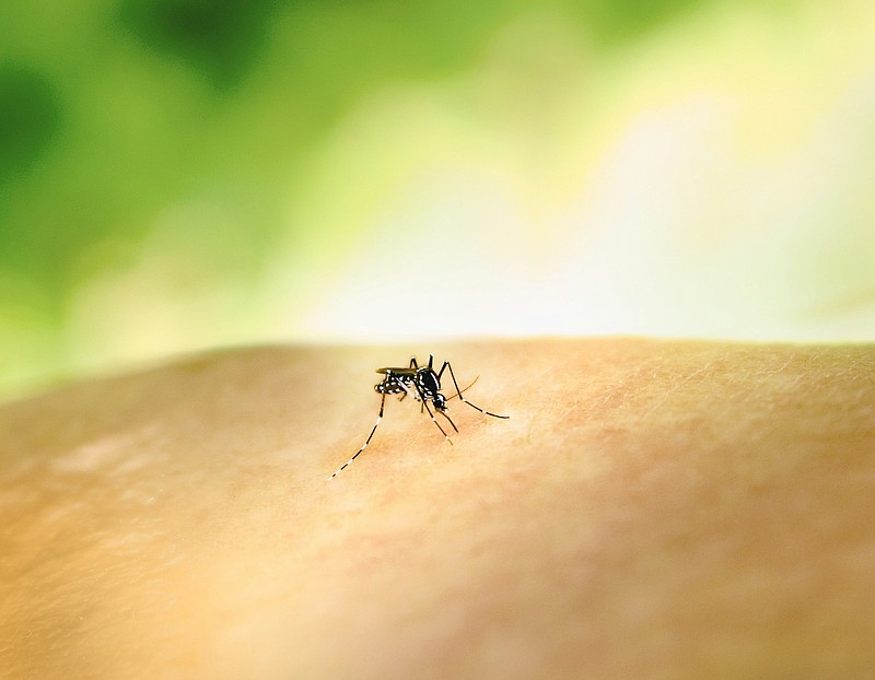 West Nile Virus (Credit: National Institute of Allergy and Infectious Diseases/Unsplash)