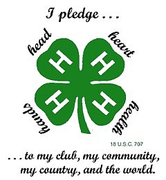 4-H logo