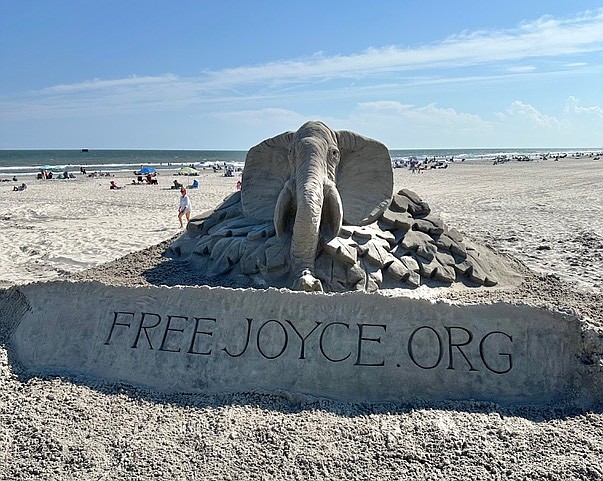 See FreeJoyce.org on the south side of Ventnor Fishing Pier