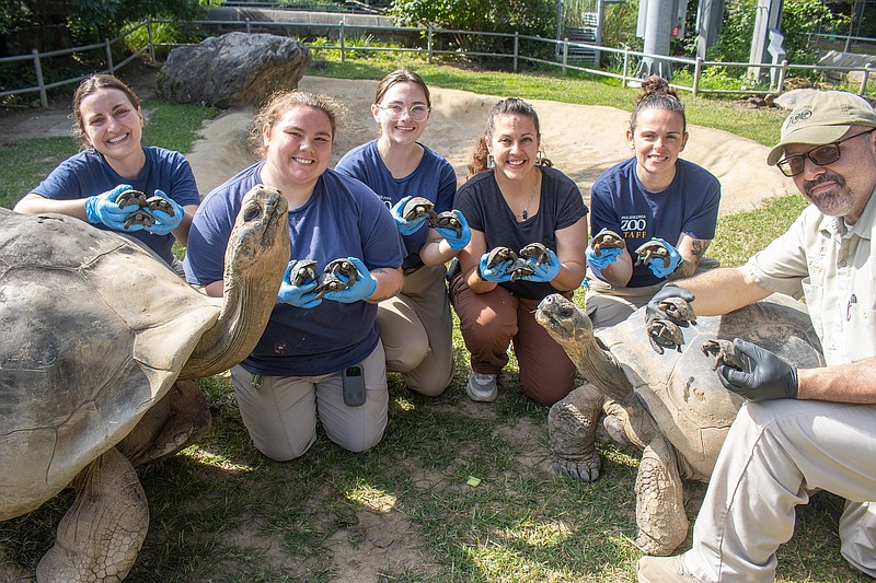 Philadelphia Zoo staff pose with Abrazzo (left), Mommy (right) and some of their hatchlings. (Credit: Philadelphia Zoo)