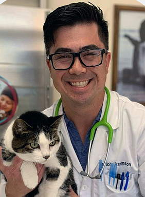 Dr. John Sampson of Richboro Veterinary Hospital (Credit: Richboro Vet Hospital)