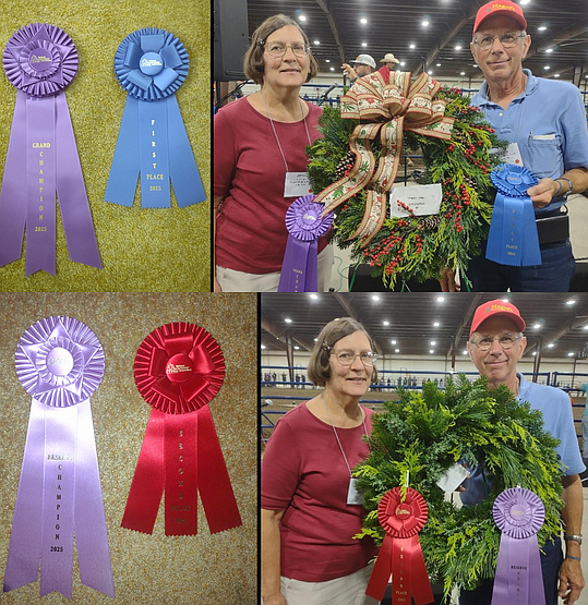 (Credit: Hague's Christmas Trees)