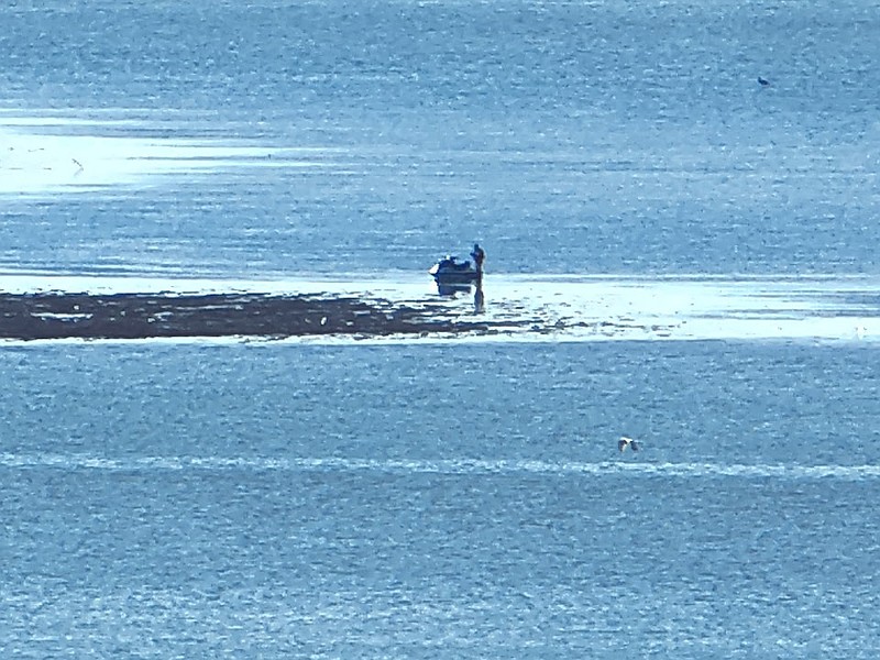 The stranded man was tracked via drone.