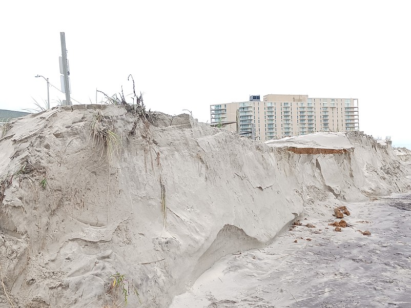 The dunes at Fifth Street in Ocean City were partially sheared away during the winter, leaving sharp drop-offs resembling cliffs.