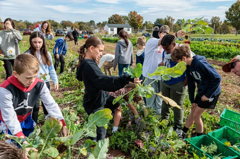 Garden of Health Inc. Food Bank welcomed over 300 5th graders from the Souderton Area School District for an educational field trip to its farm in Hatfield, in which students helped harvest and taste produce, learned how to dry and identify herbs and more. (Courtesy of Almac Group)