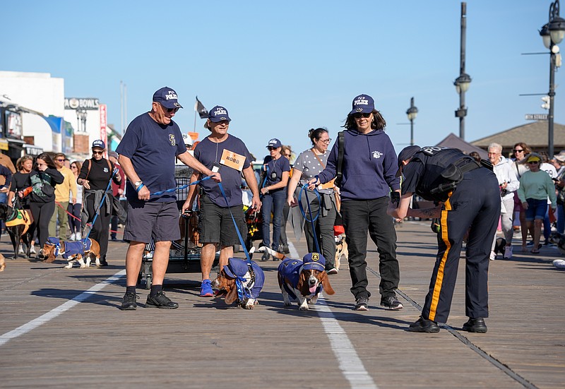 Basset hounds comically dressed in police costumes strut down the Boardwalk during the 2024 Howl-O-Ween Parade. (Photo courtesy of Ocean City)