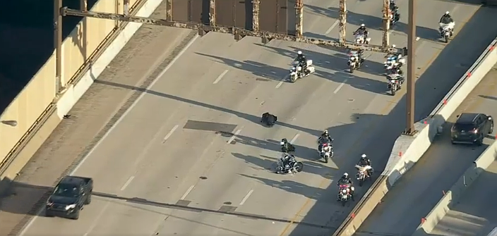 Credit: Screenshot: 6abc.com