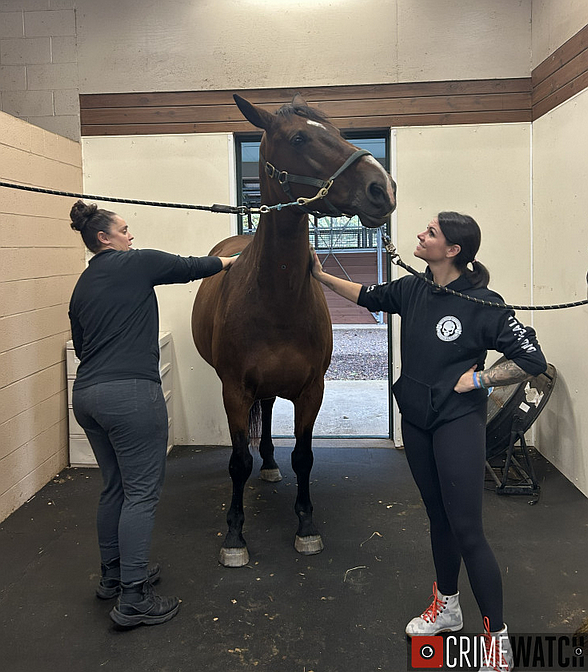 (Credit: Buckingham Township PD)