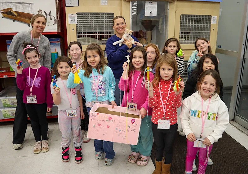 The Swiftie Club at Cynwyd Elementary School recently channeled its idol's generosity to create cat toys for ACCT Philly pets. (Image courtesy of LMSD)