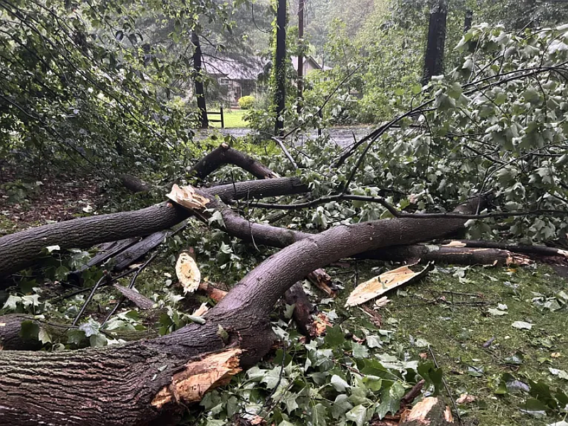 Nearly 400 Montgomery County PECO customers still without power as of Tuesday afternoon