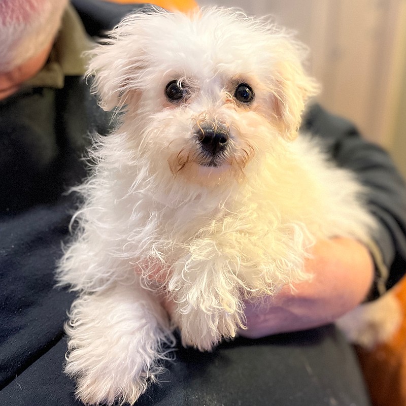 Princess Grace (Credit: Home At Last)