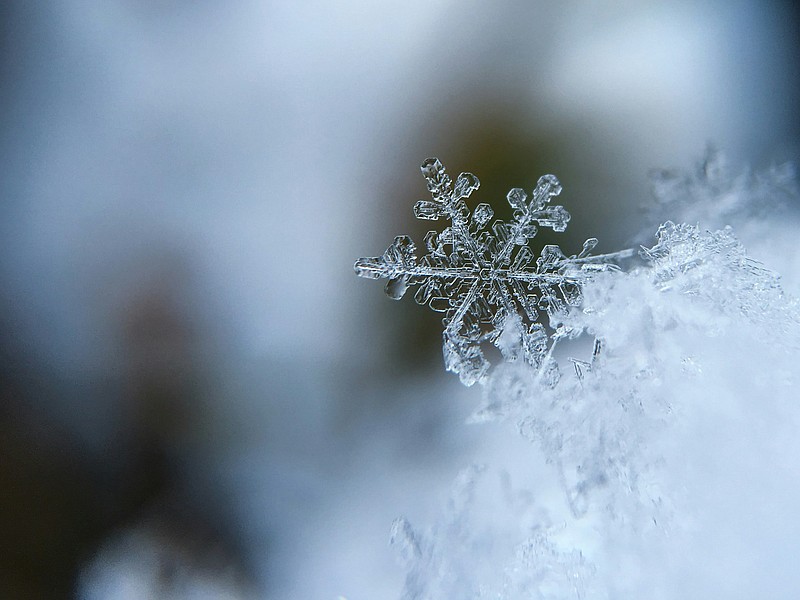Winter (Credit: Aaron Burden / Unsplash.com)