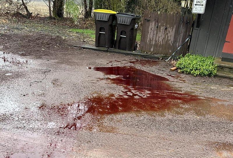 This 2024 photo, taken in Plumstead resident Evelyn King's driveway, shows what the homeowner says is blood that ran onto their property from the Kingdom Provisions LLC site next door. (Credit: Evelyn King)