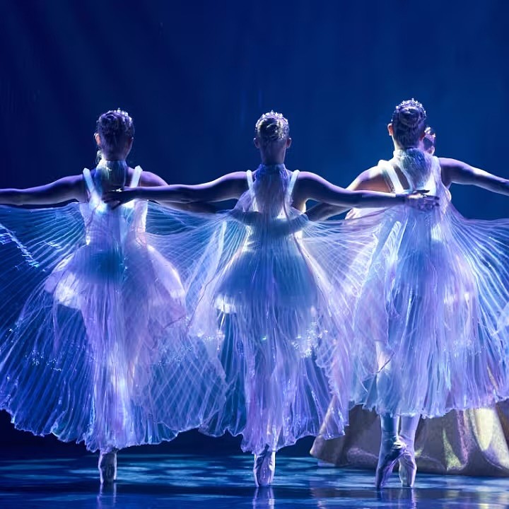 Ballet of Lights: Sleeping Beauty in a Sparkling Show is coming to Media (Image courtesy of Feverup.com)