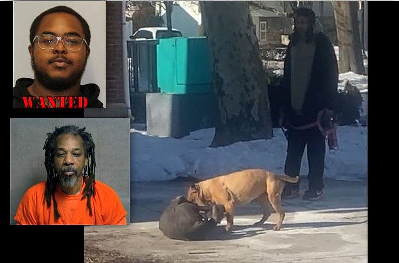 Aarin Burdin-Moody, top, is wanted while Clarance Gilliard is jailed. He is seen looking on as his dog Ruger attacks another in a screenshot from a Facebook Live posted by Laquay Lewis.
