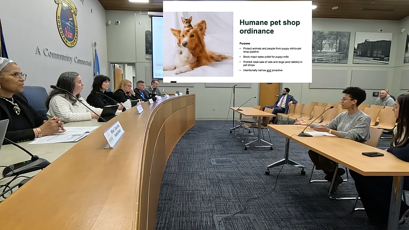 Source: Screenshot: Horsham Township/YouTube.com