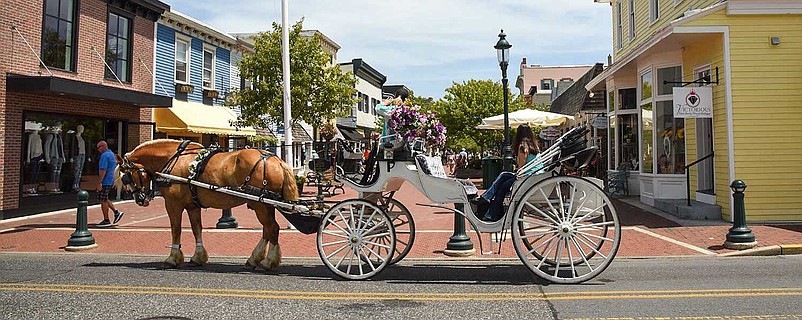 Cape May Carriage Company has been offering tours of Victorian Cape May since 1983. (Photo courtesy of Cape May Carriage Company website)