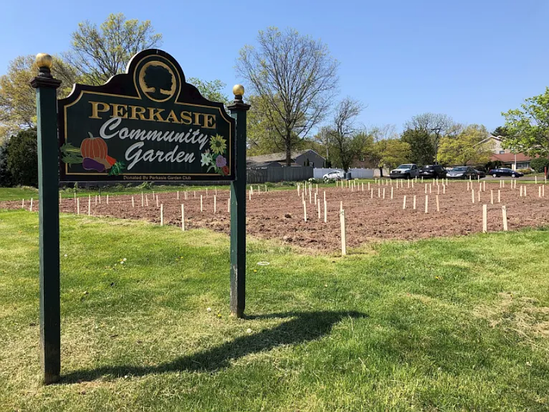 (Credit: Geoff Patton/MediaNews Group)